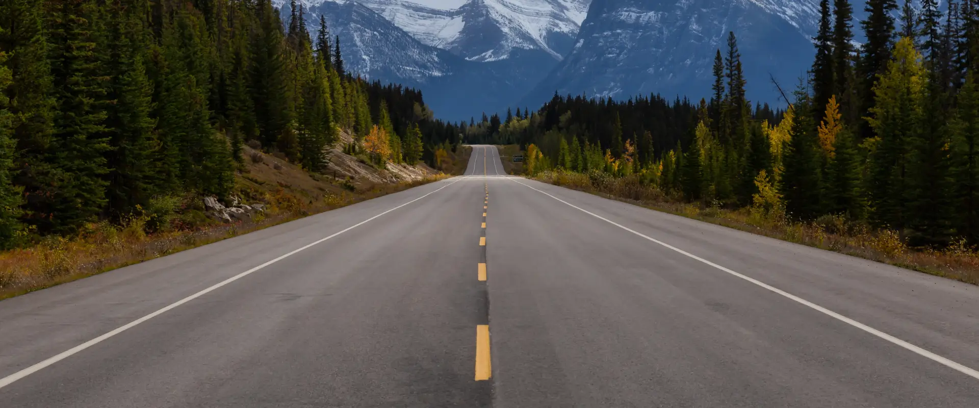 road background